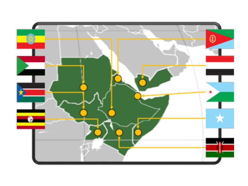 Geographical scope of the project